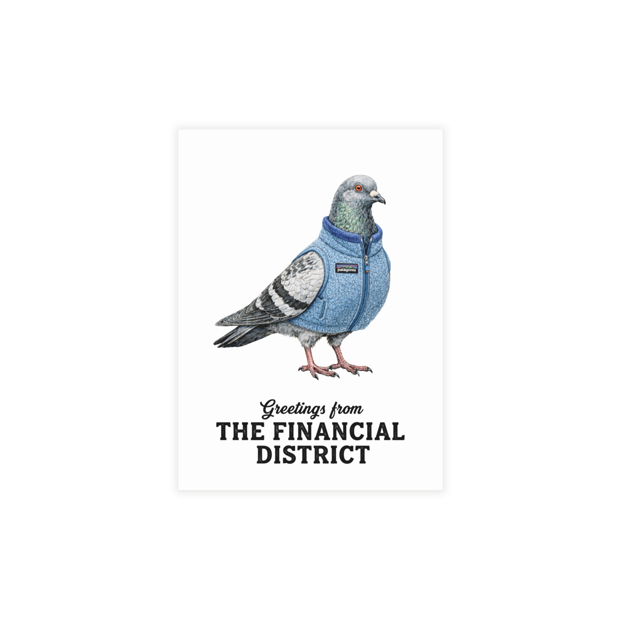 Financial District NYC Pigeon Postcard Bundle (envelopes included)
