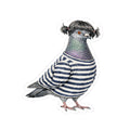 Williamsburg NYC Pigeon 3" x 3" Sticker