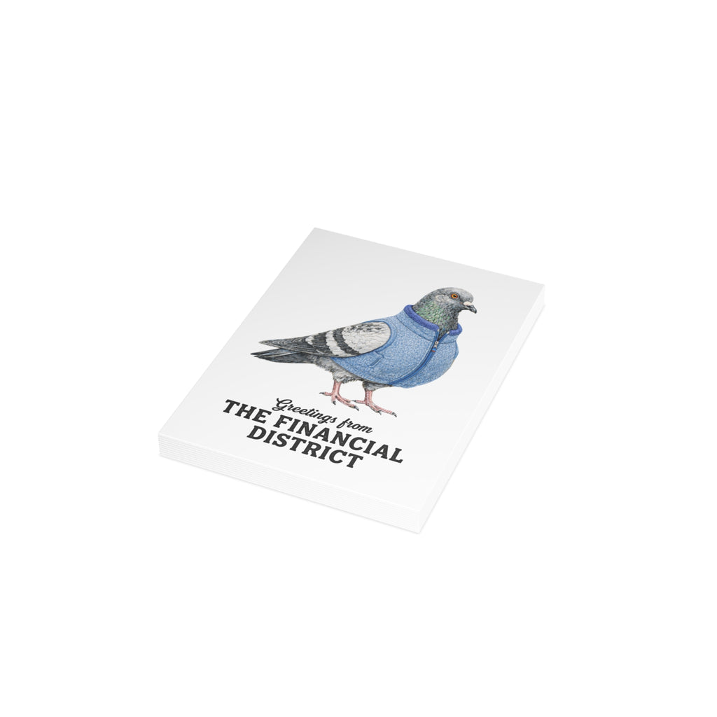 Paquete de postales de palomas del Distrito Financiero de NYC (sobres incluidos)