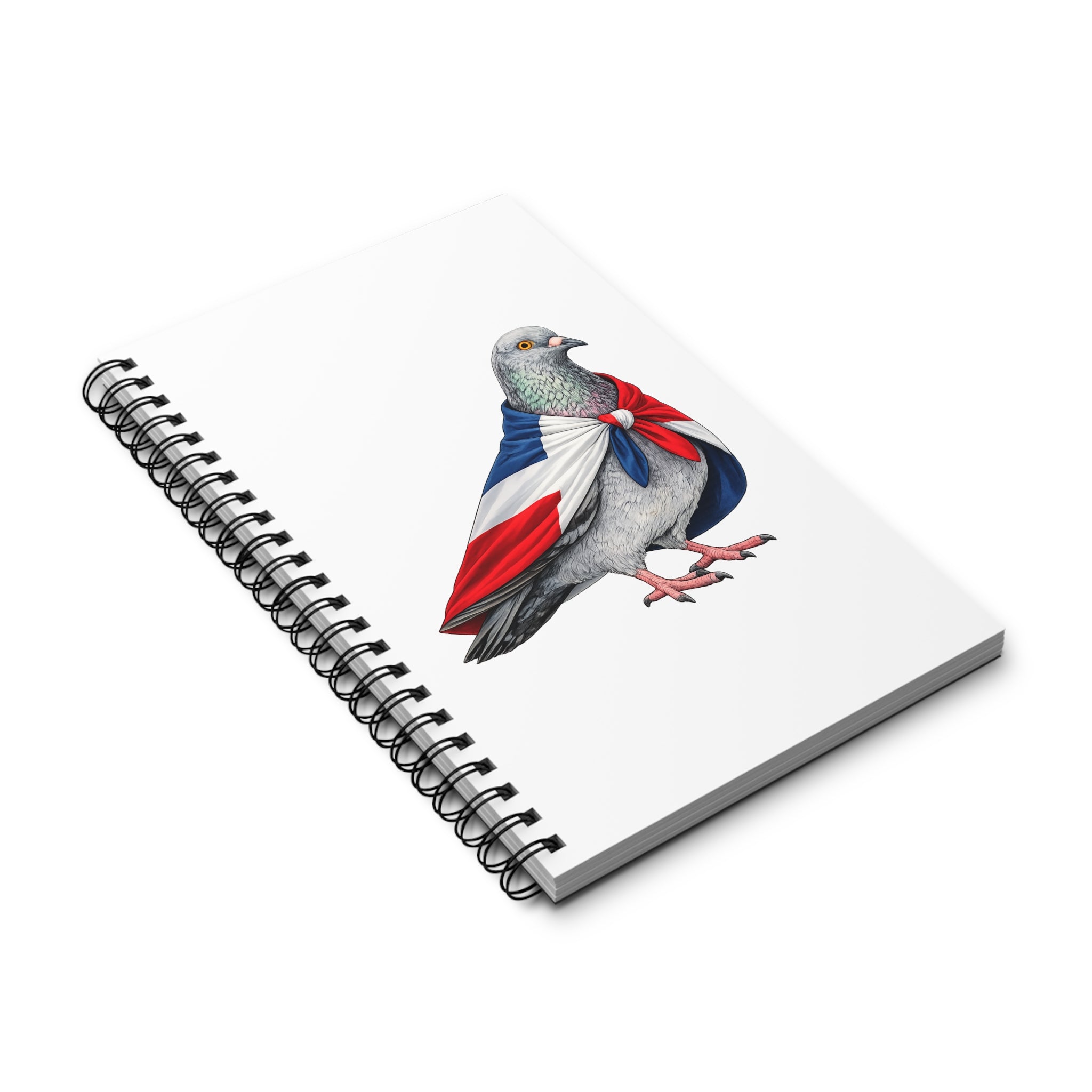 Washington Heights NYC Pigeon Spiral Journal | New York Bird Lovers Notebook
