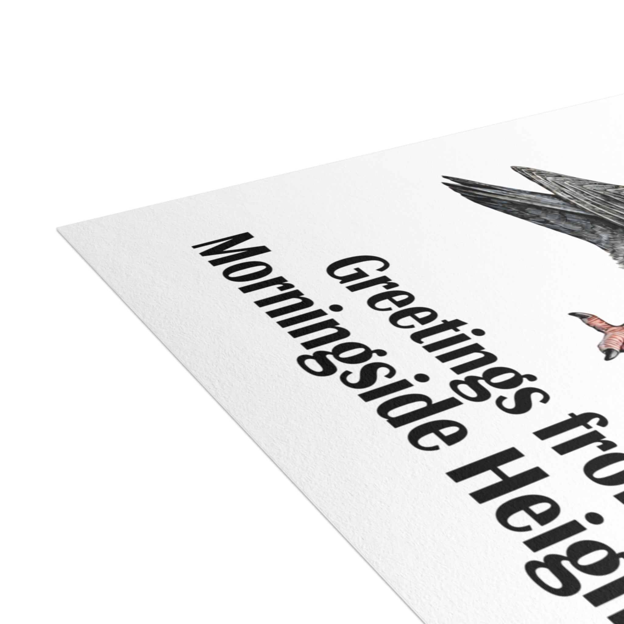 Morningside Heights NYC Pigeon Postcard Bundle (envelopes included)