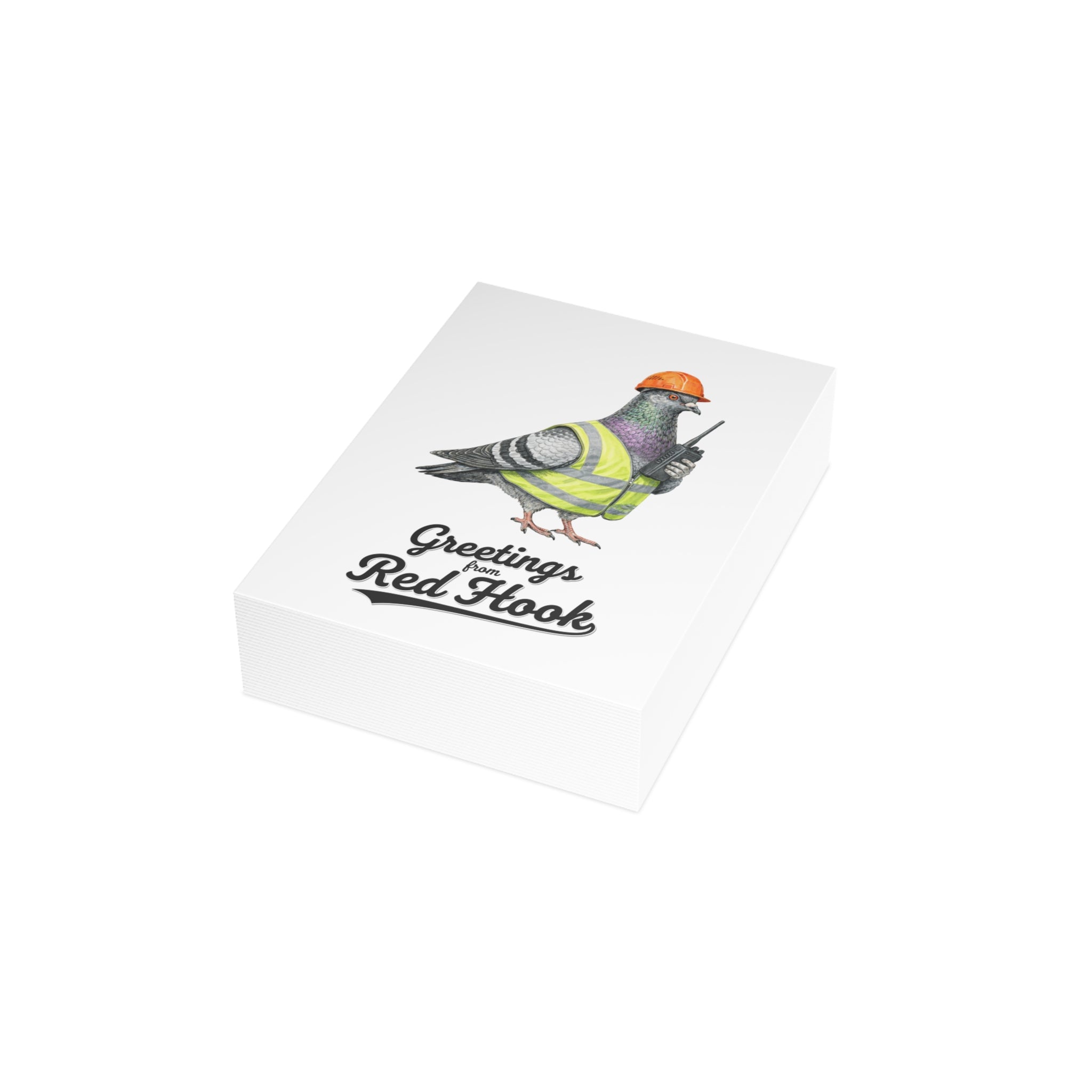 Red Hook NYC Pigeon Postcard Bundle (envelopes included)