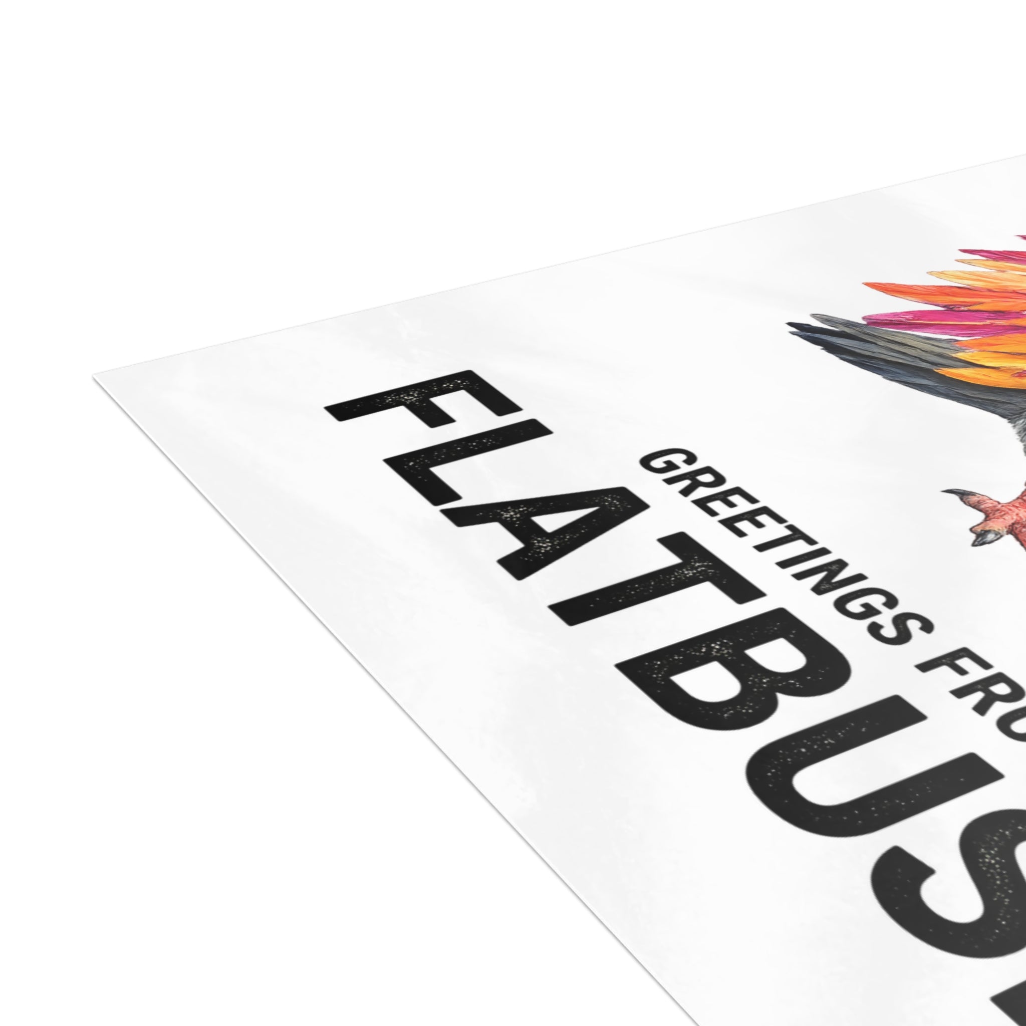 Flatbush NYC Pigeon Postcard Bundle (envelopes included)