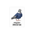 Upper East Side NYC Pigeon Postcard Bundle (envelopes included)