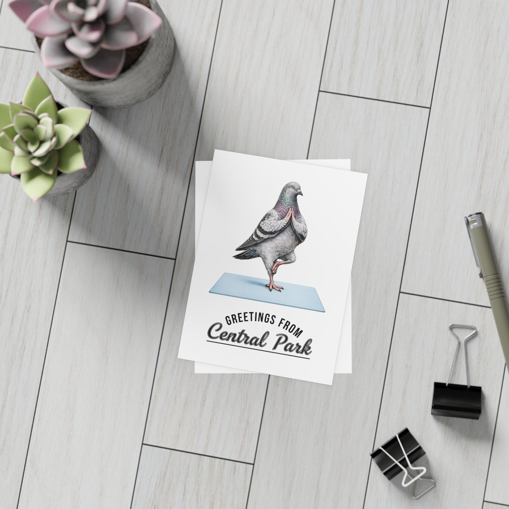 Central Park NYC Pigeon Postcard Bundle (envelopes included)