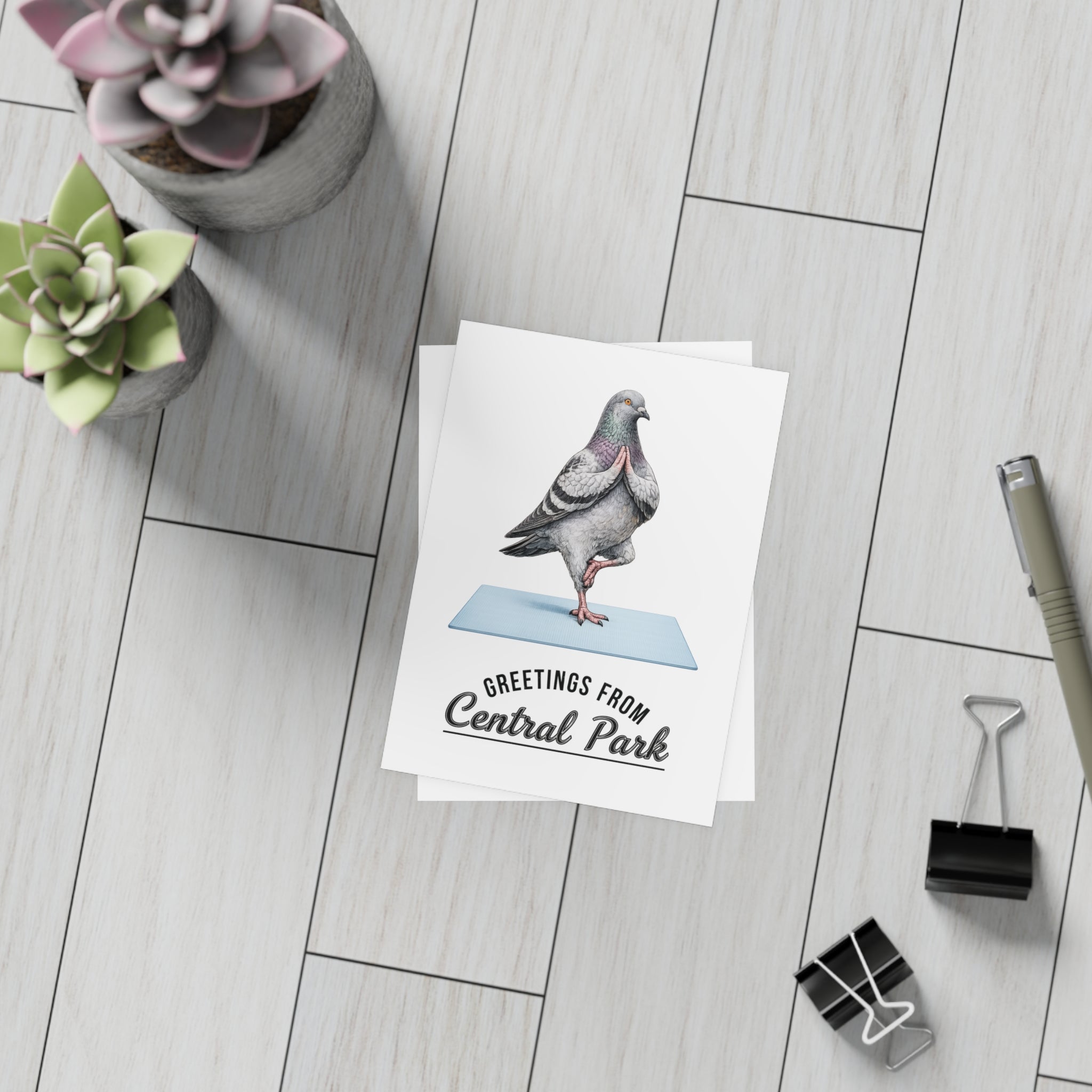 Central Park NYC Pigeon Postcard Bundle (envelopes included)