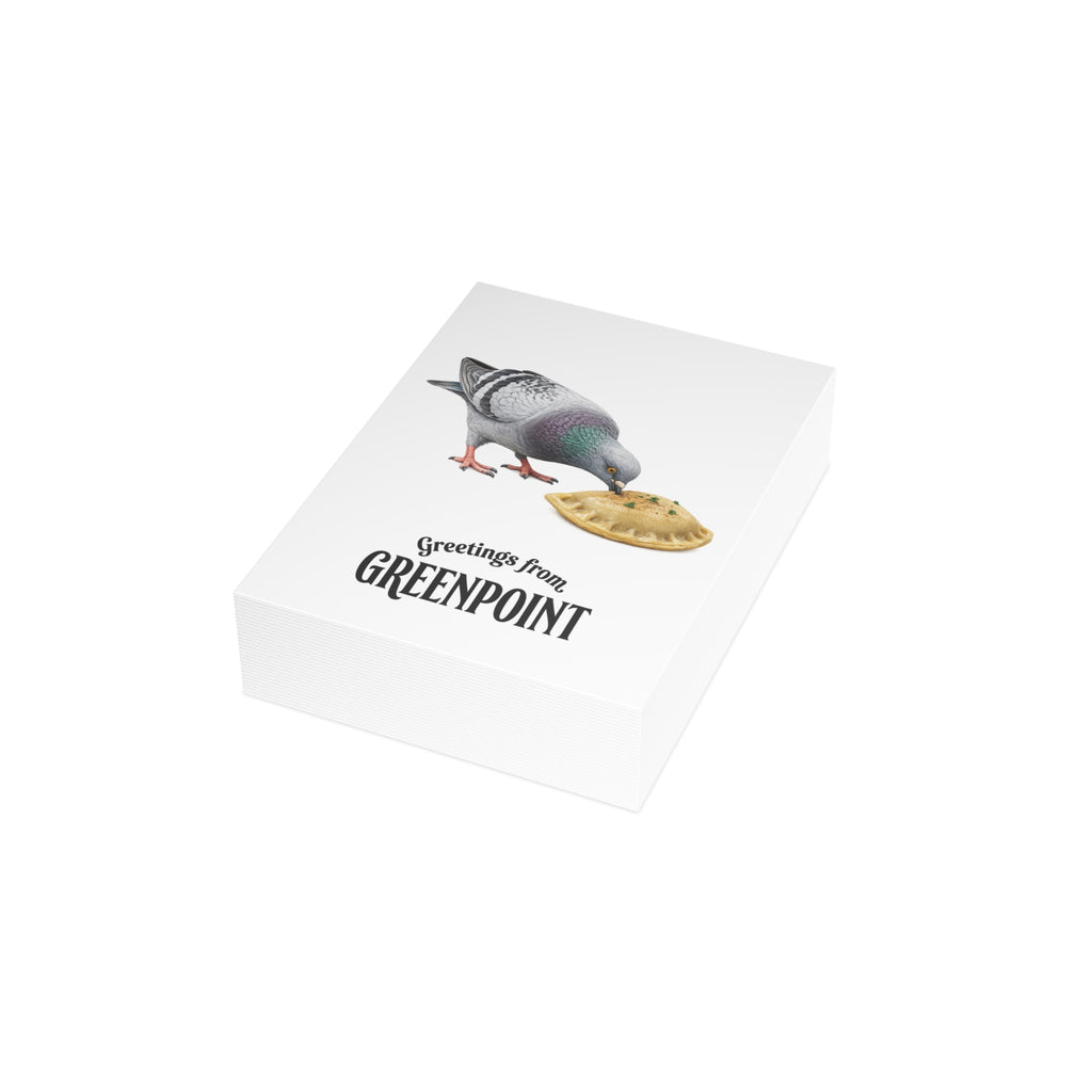 Greenpoint NYC Pigeon Postcard Bundle (envelopes included)