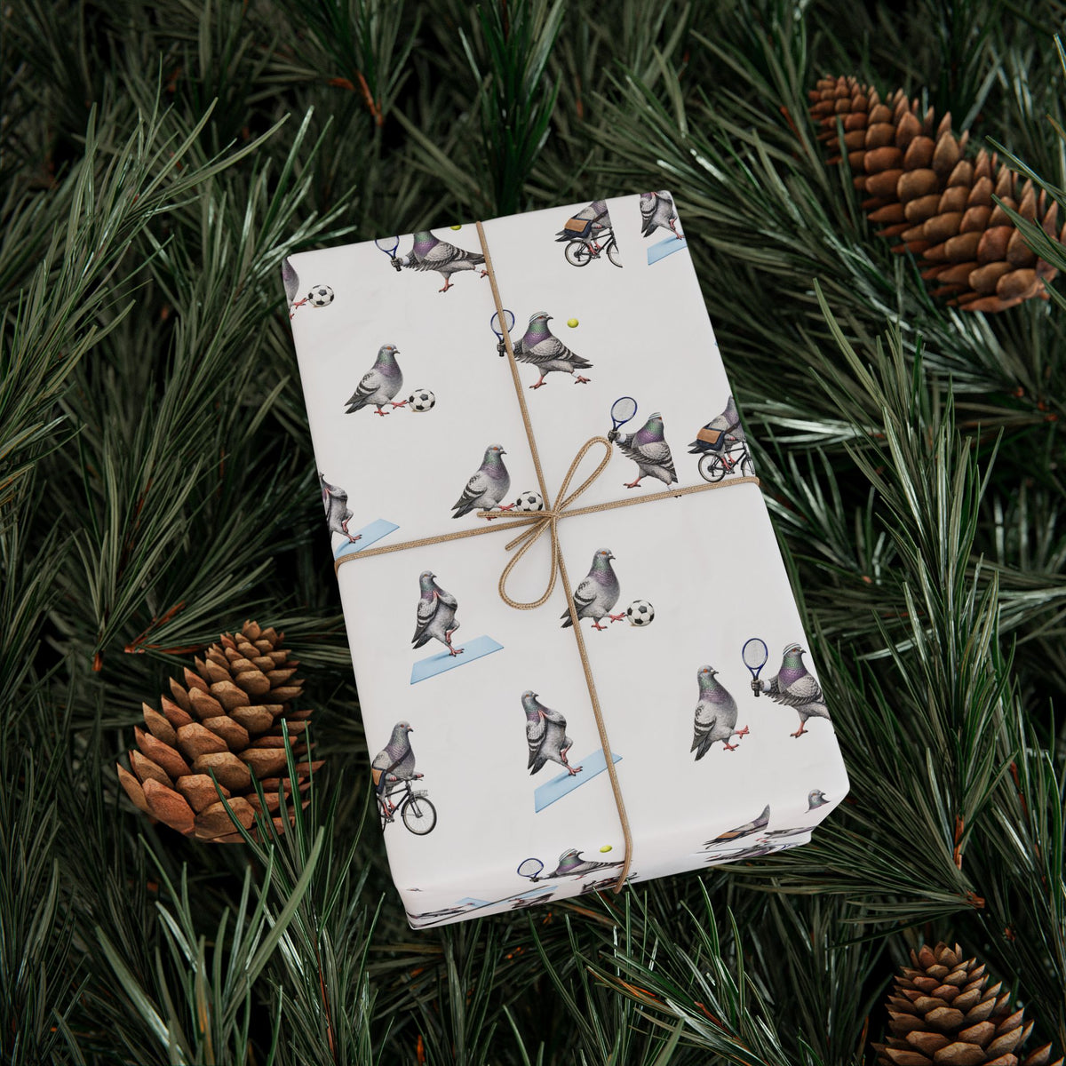 Get Well Soon NYC Pigeon Pattern Gift Wrap Paper | New York Active Lifestyle Bird Lover Wrapping Paper Roll