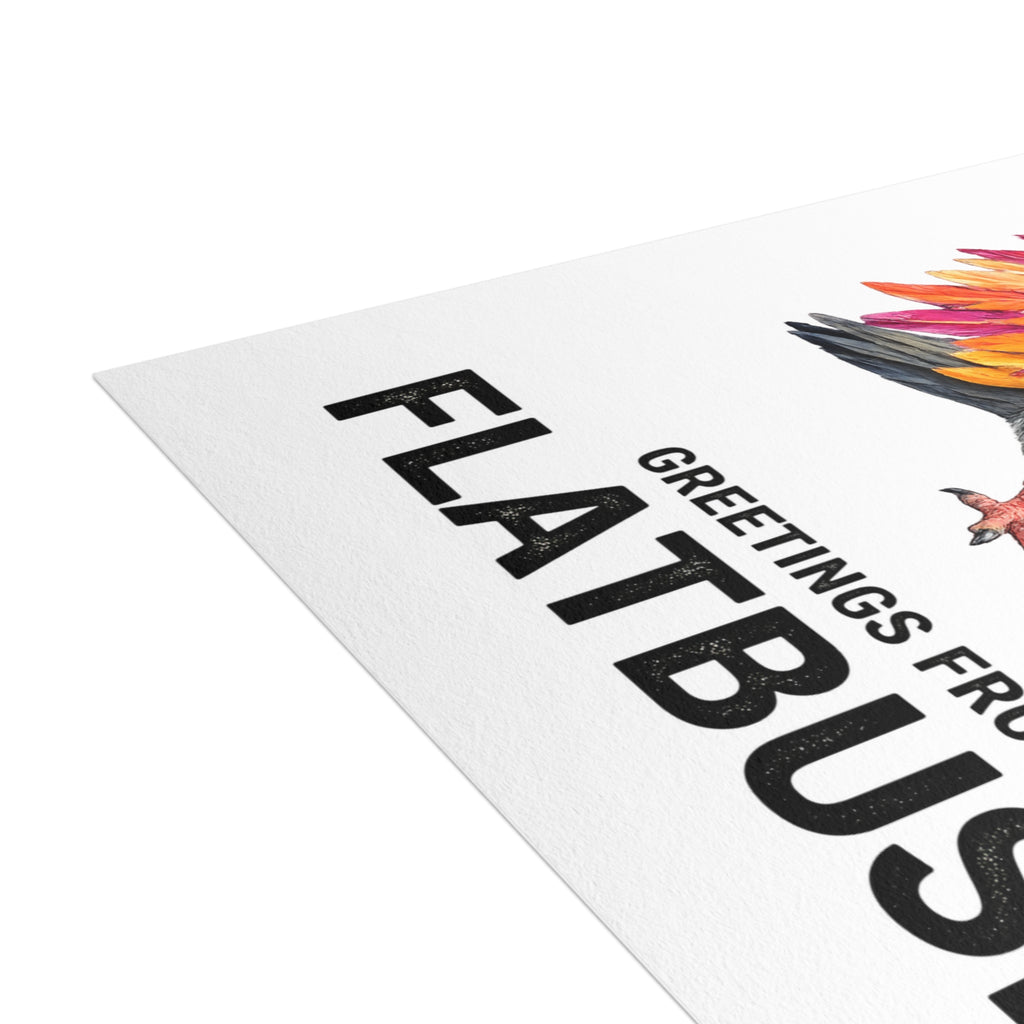 Flatbush NYC Pigeon Postcard Bundle (envelopes included)