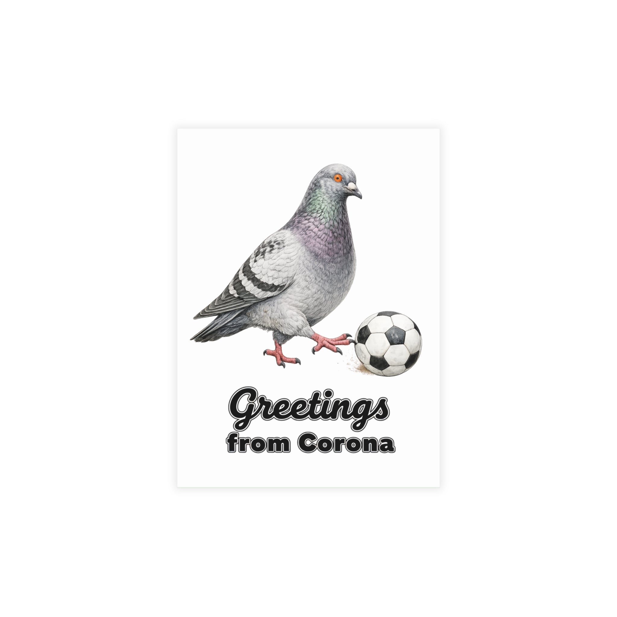 Corona NYC Pigeon Postcard Bundle (envelopes included)