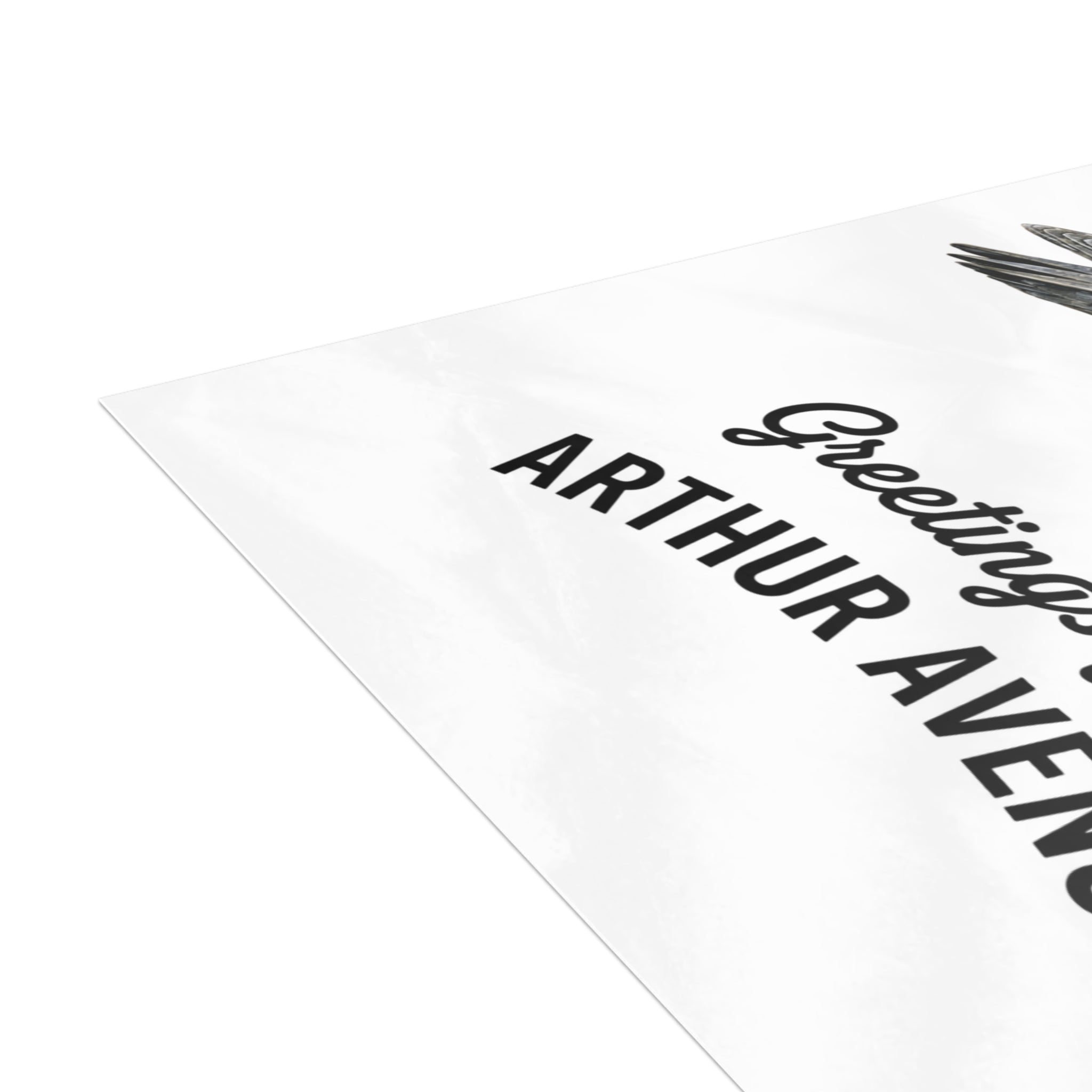 Arthur Avenue NYC Pigeon Postcard Bundle (envelopes included)