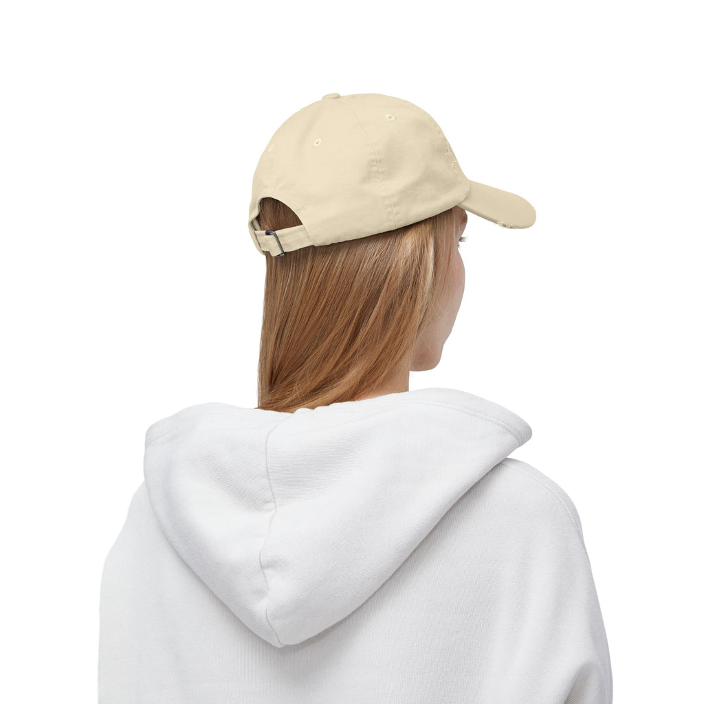Bryant Park American Woodcock Distressed Cap — Nature Hat for Bird Lovers