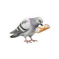 Arthur Avenue NYC Pigeon 3" x 3" Sticker