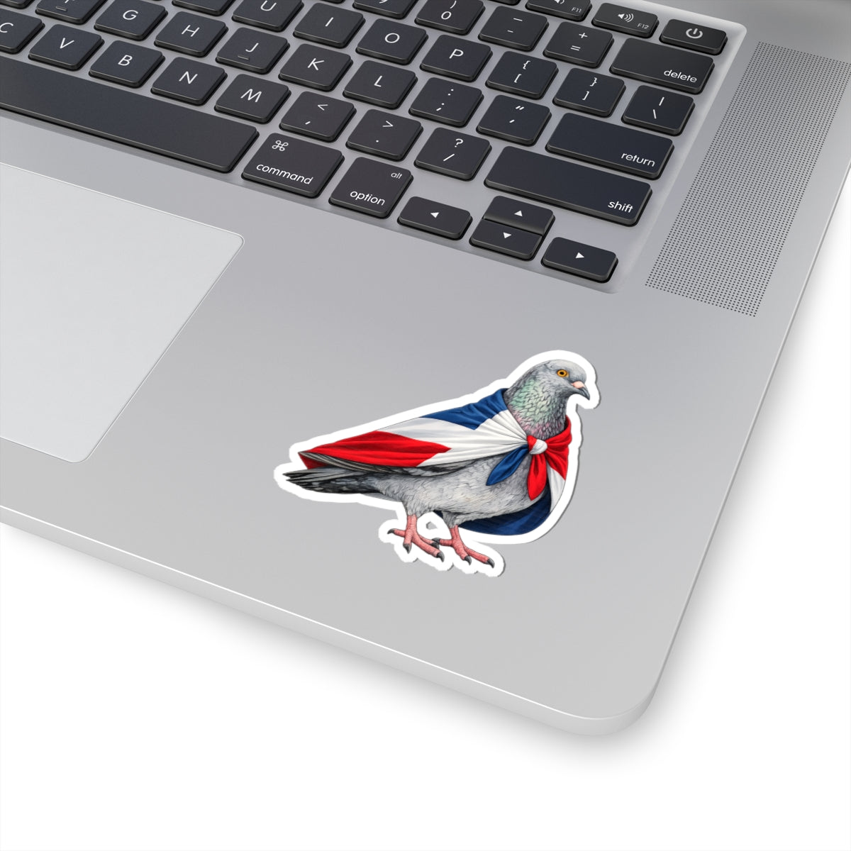 Washington Heights NYC Pigeon 3" x 3" Sticker