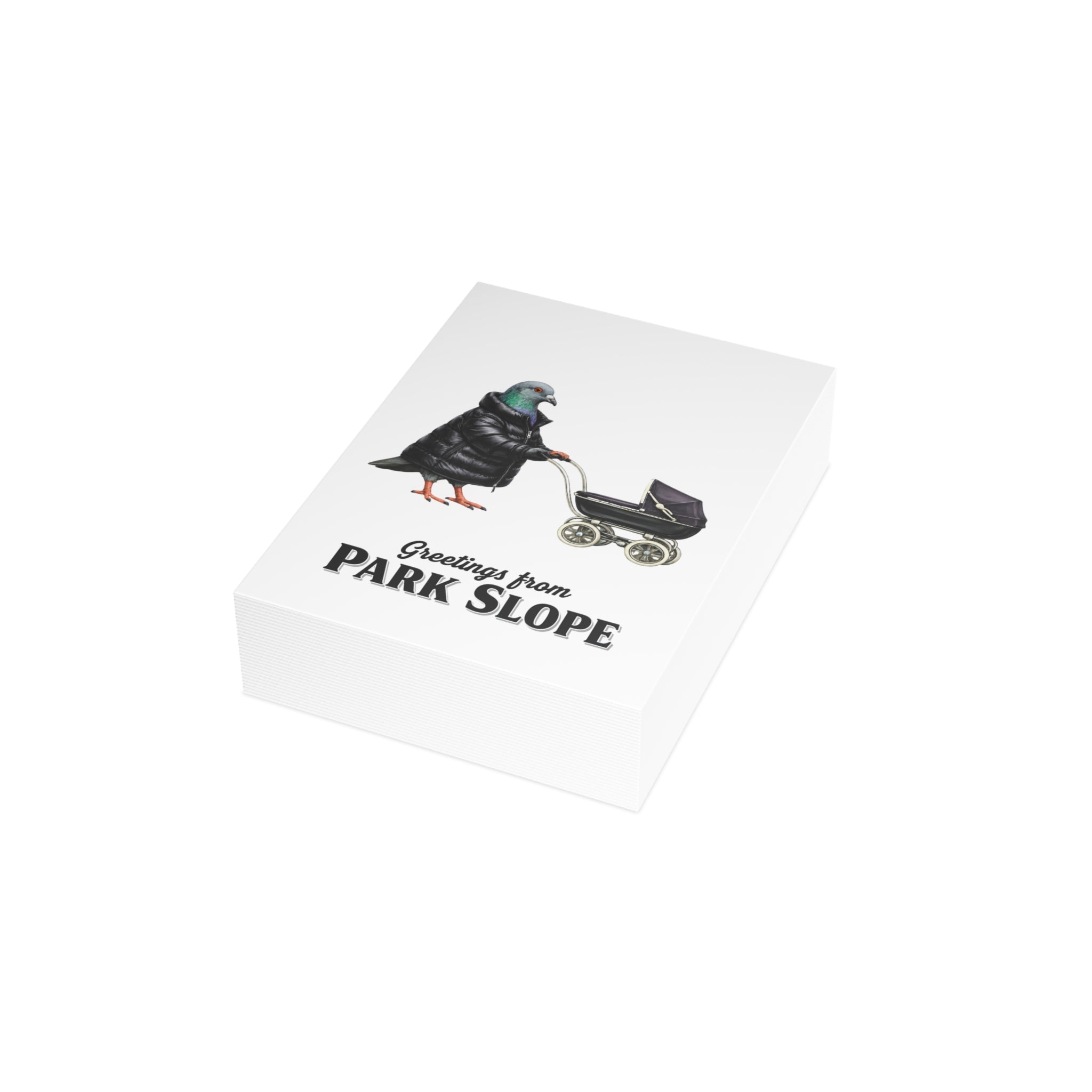 Park Slope NYC Pigeon Postcard Bundle (envelopes included)