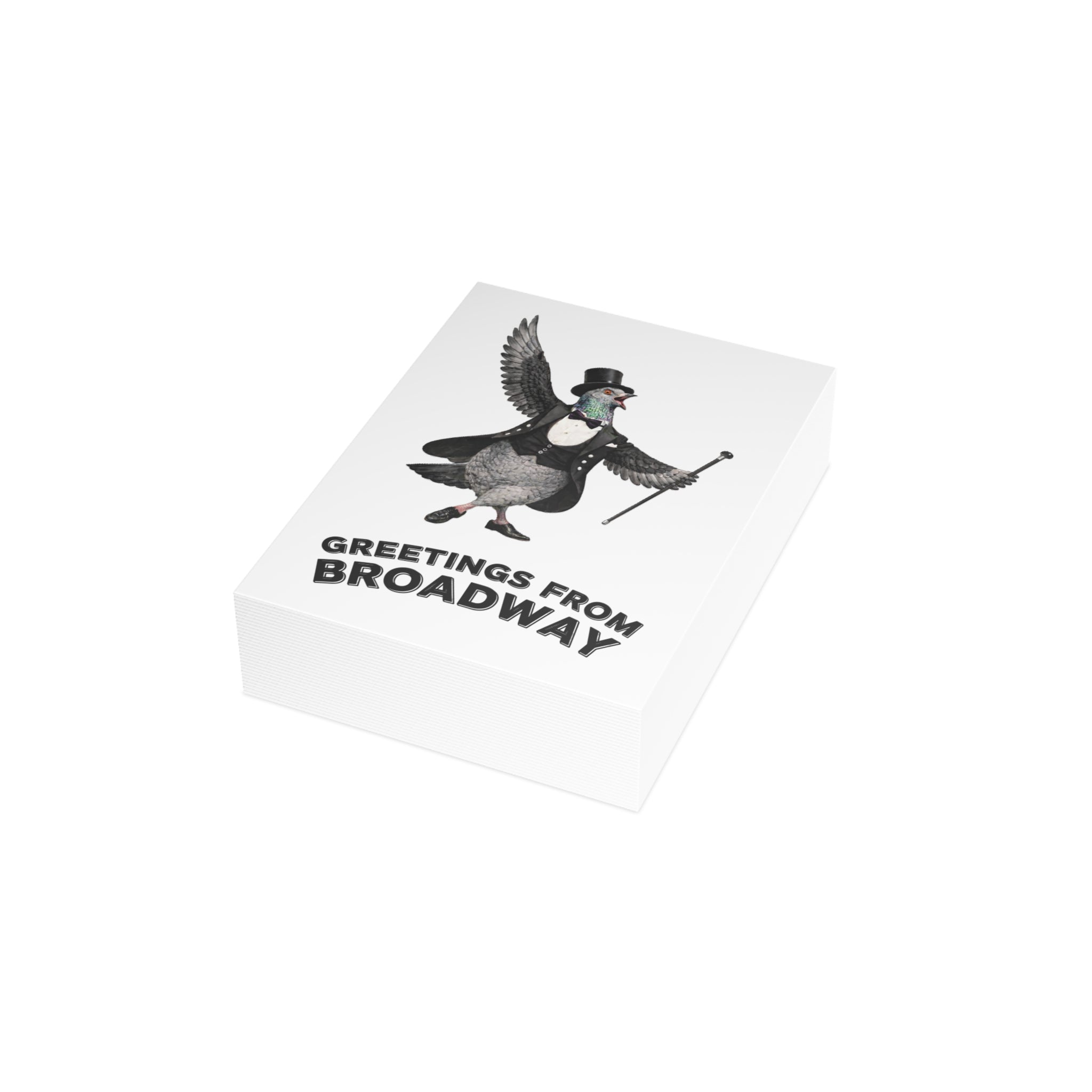 Broadway NYC Pigeon Postcard Bundle (envelopes included)