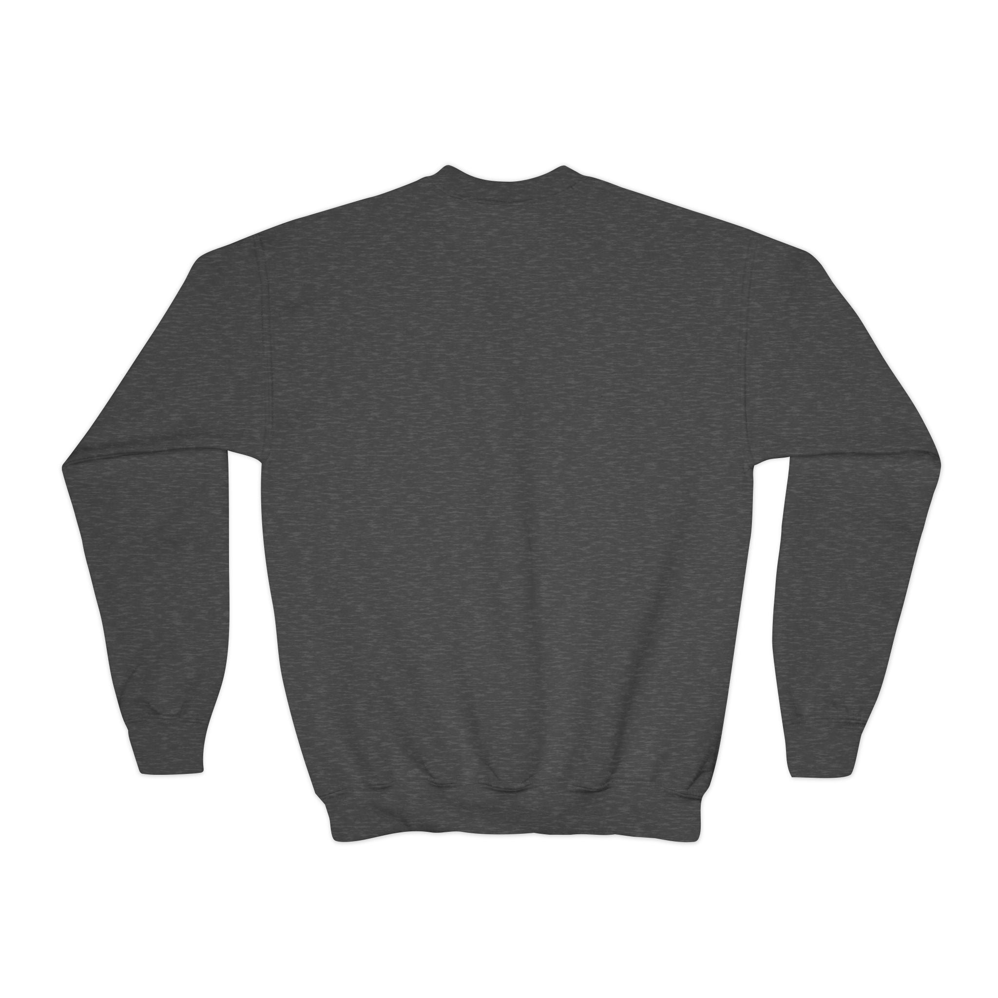 Sudadera de cuello redondo personalizable de Midtown NYC Pigeon NYC para niños    Suéter infantil de pájaro amante de las bicicletas de Nueva York