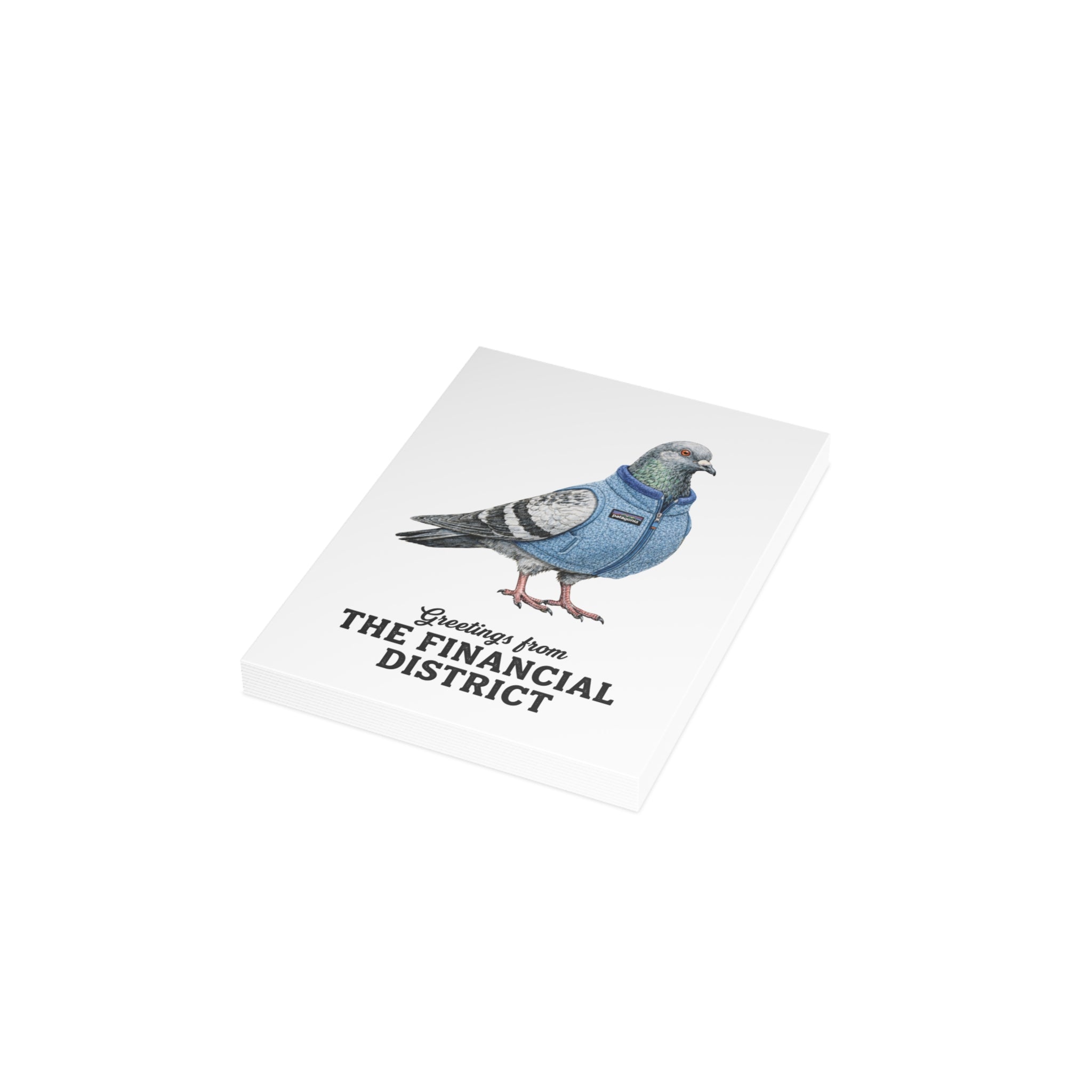 Financial District NYC Pigeon Postcard Bundle (envelopes included)