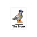 Bronx NYC Pigeon Postcard Bundle (envelopes included)