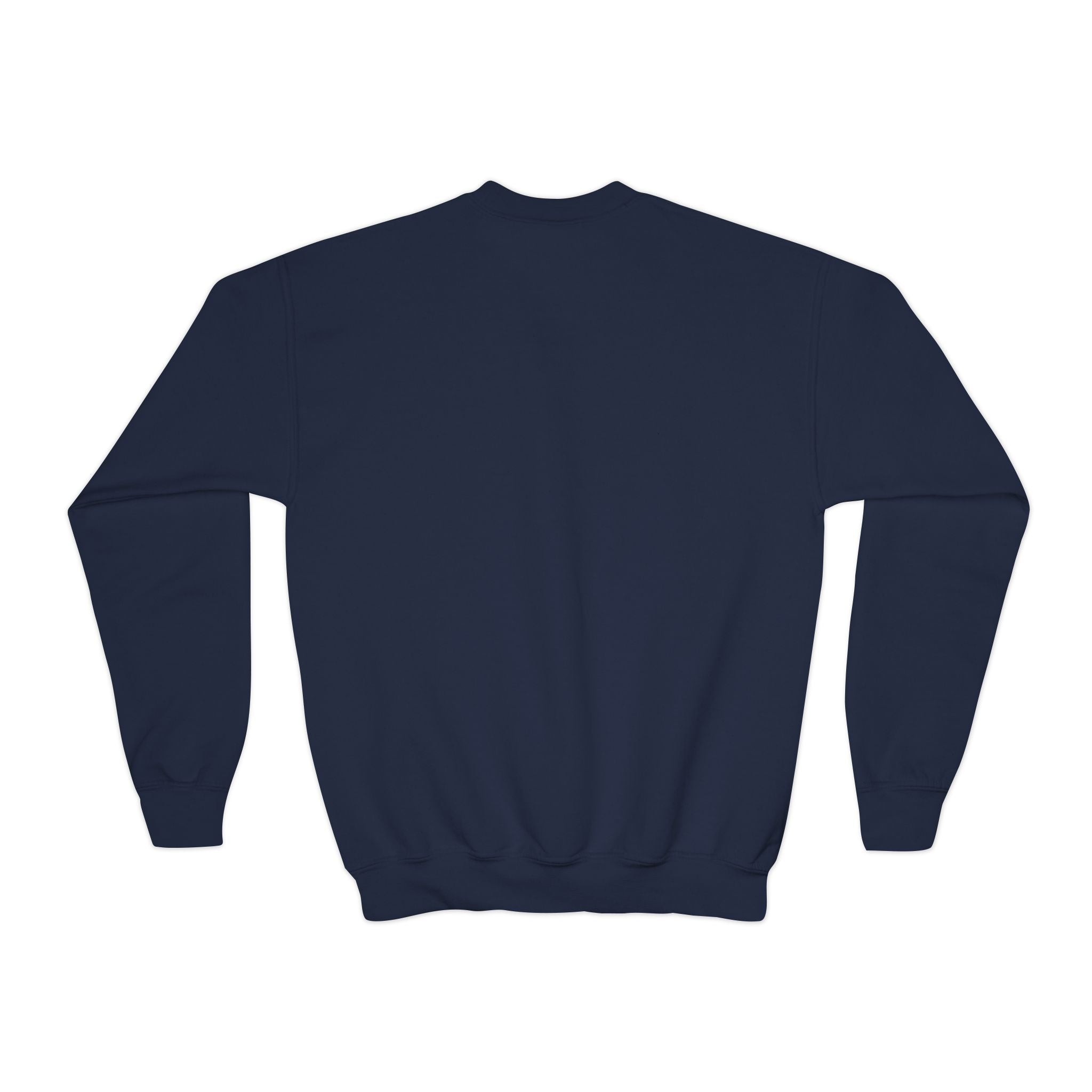 Customizable Corona NYC Pigeon NYC Kids Crewneck Sweatshirt    New York Soccer Player Bird Lover Childrens Sweater