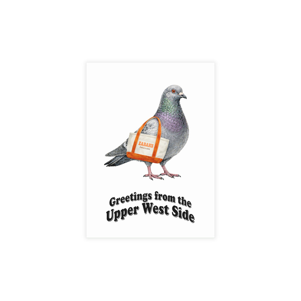 Upper West Side NYC Pigeon Postcard Bundle (envelopes included)