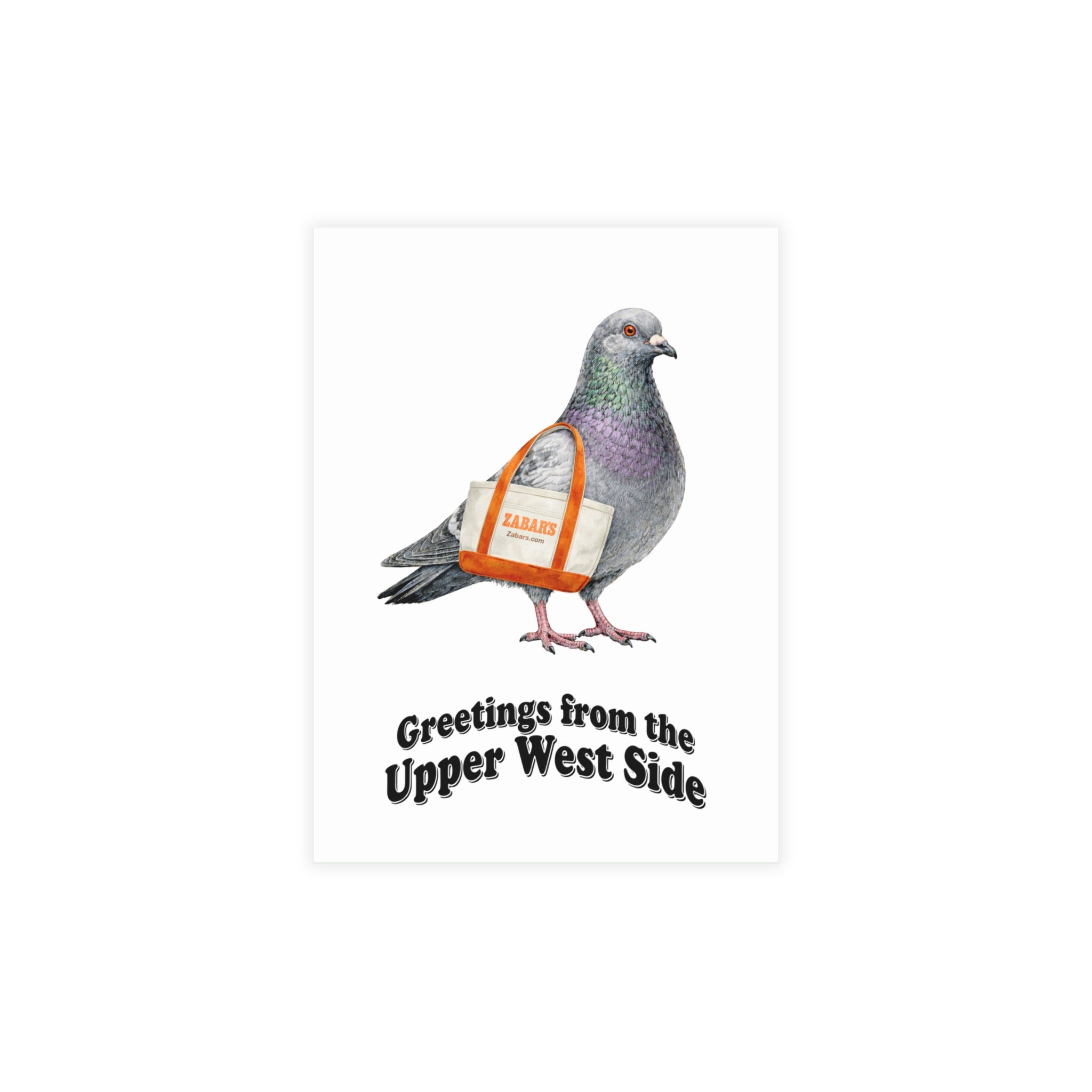 Upper West Side NYC Pigeon Postcard Bundle (envelopes included)