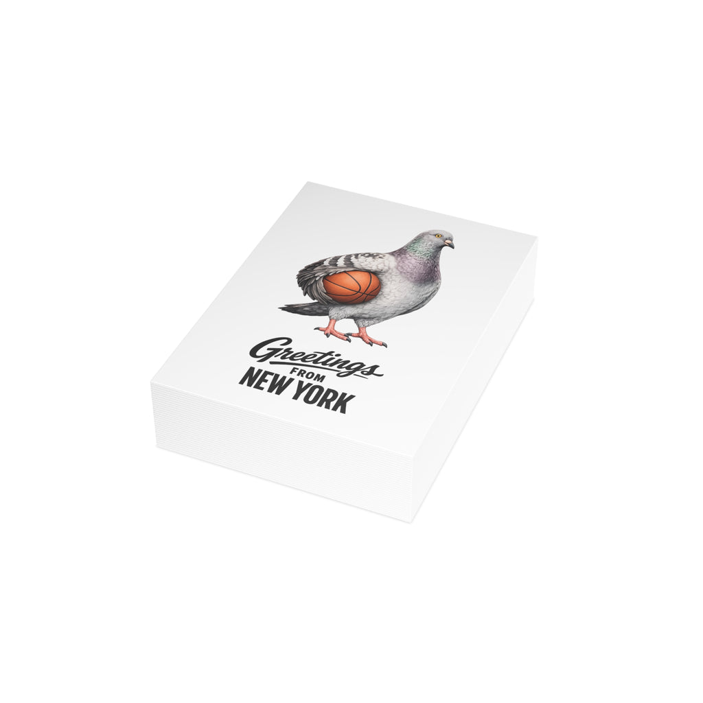 Basketball Player NYC Pigeon New York Postcard Bundle (envelopes included)