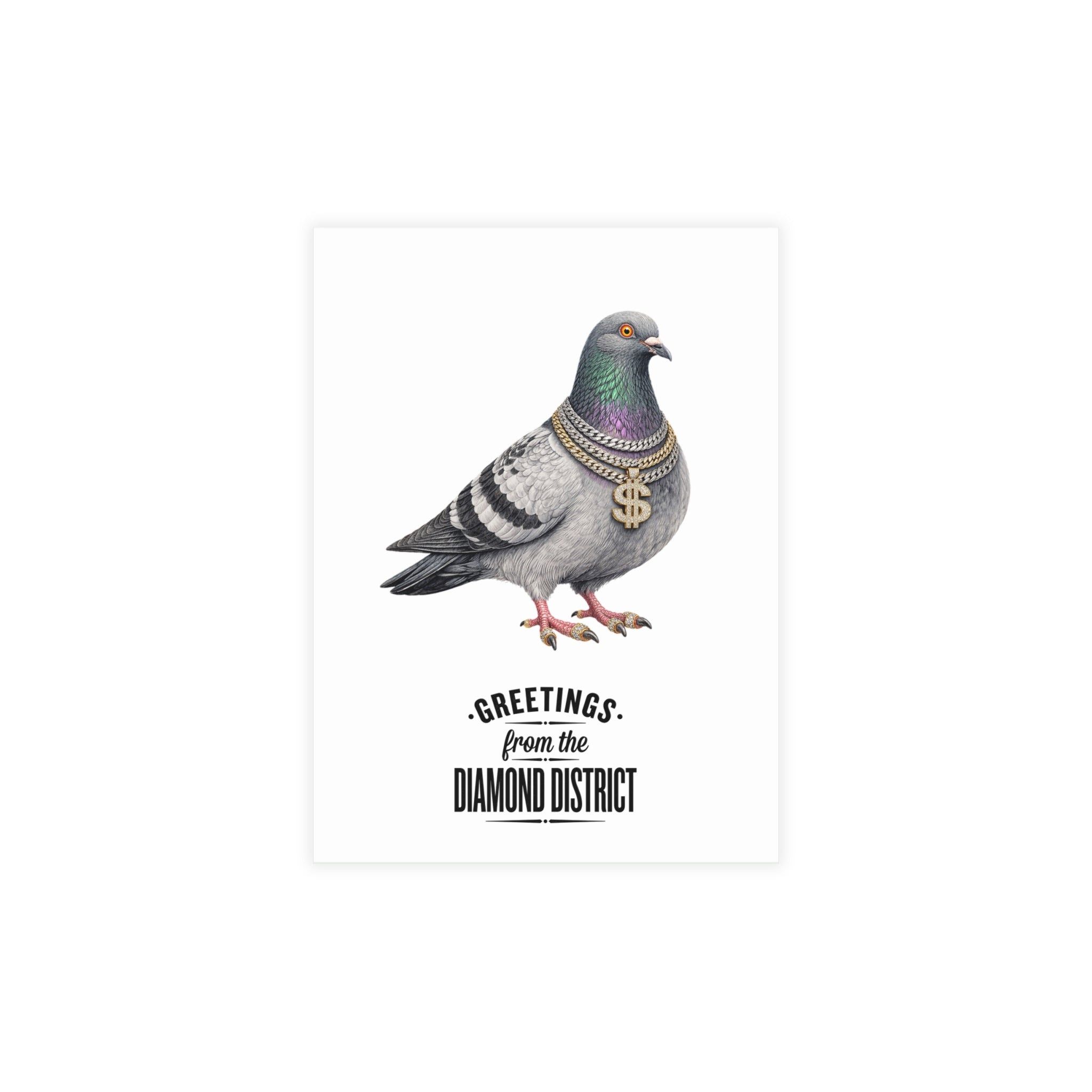 Diamond District NYC Pigeon Postcard Bundle (envelopes included)