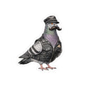 Chelsea NYC Pigeon 3" x 3" Sticker
