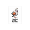 Basketball Player NYC Pigeon New York Postcard Bundle (envelopes included)