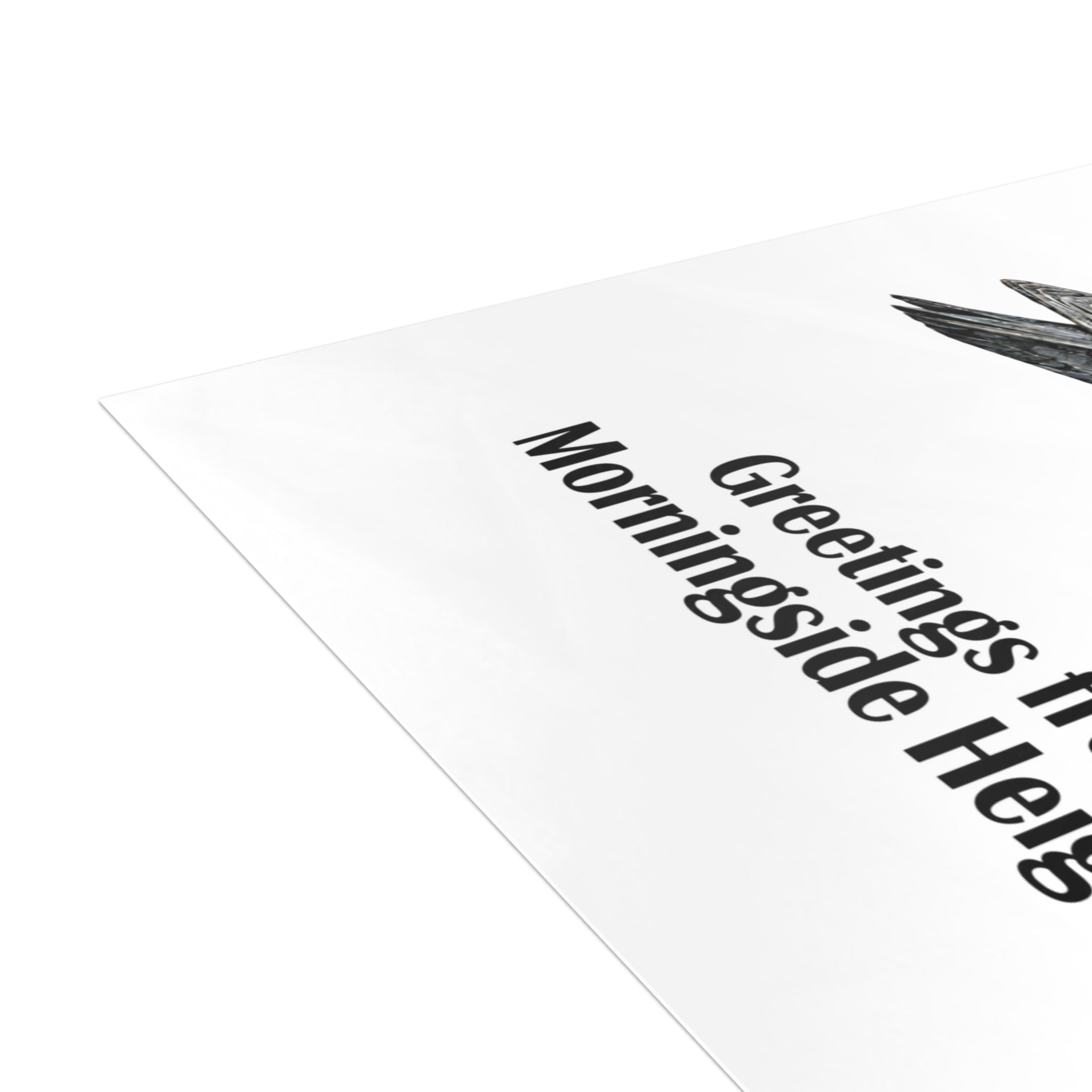 Morningside Heights NYC Pigeon Postcard Bundle (envelopes included)