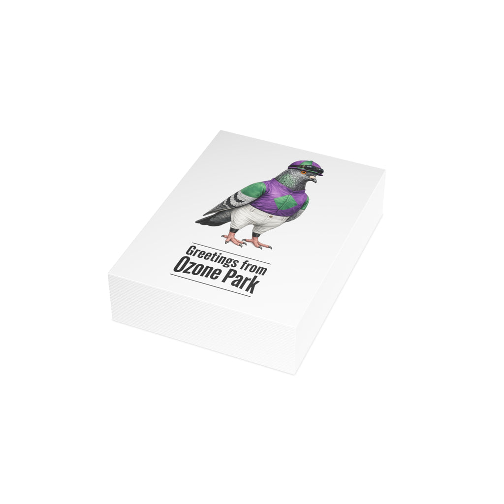 Ozone Park NYC Pigeon Postcard Bundle (envelopes included)