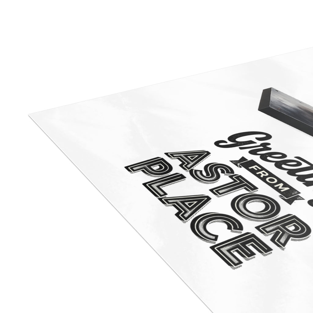 Astor Place NYC Pigeon Postcard Bundle (envelopes included)
