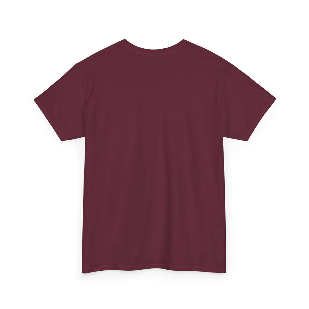 Fallsburg, NY Map T-Shirt  Catskills Upstate New York Tee