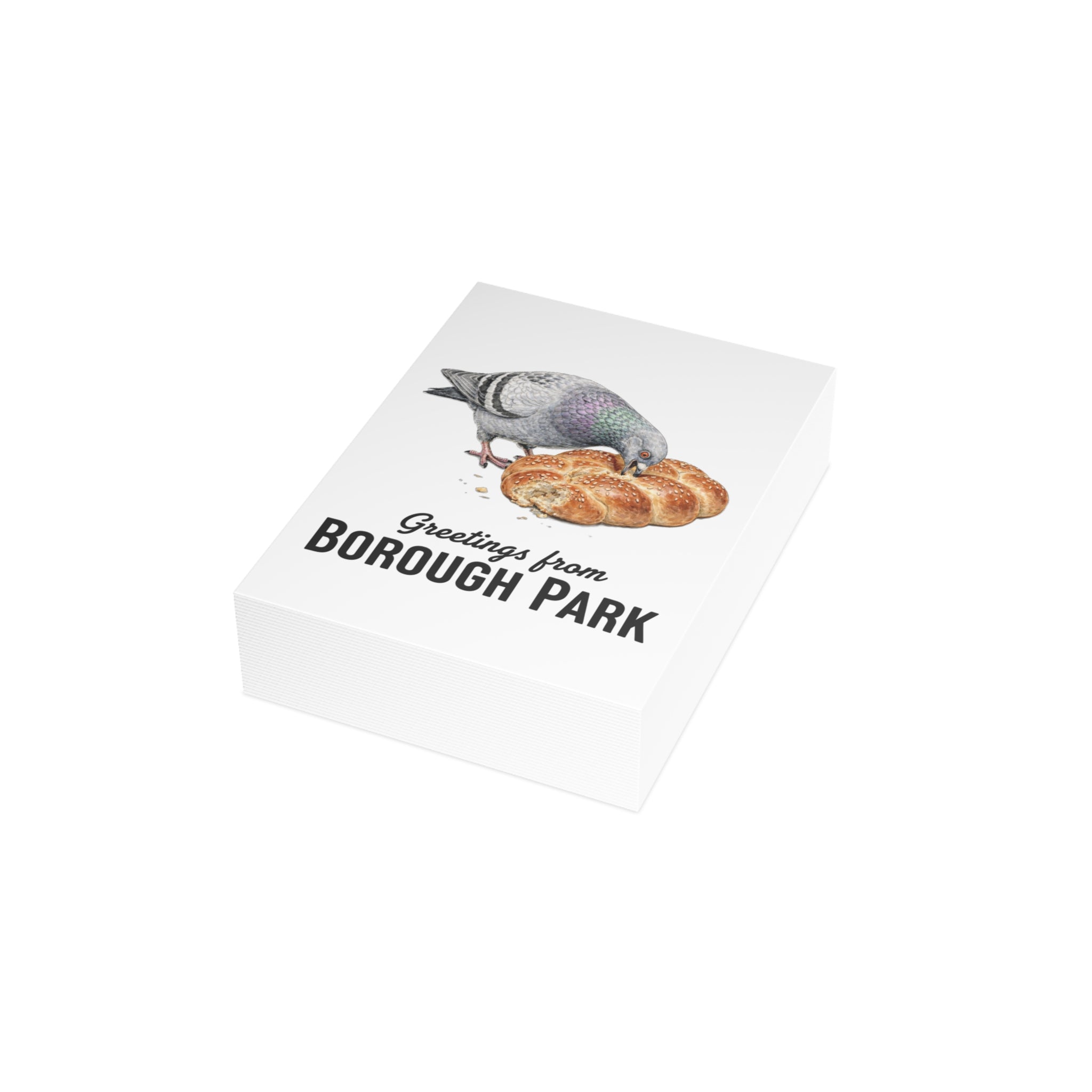 Borough Park NYC Pigeon Postcard Bundle (envelopes included)