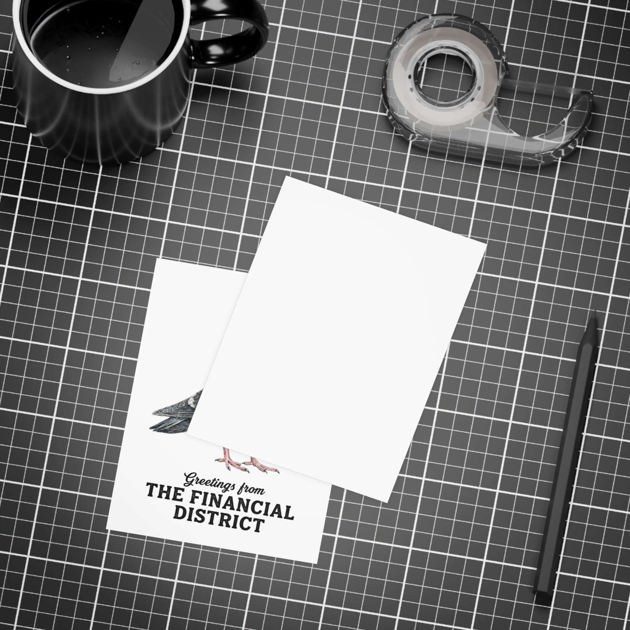 Financial District NYC Pigeon Postcard Bundle (envelopes included)