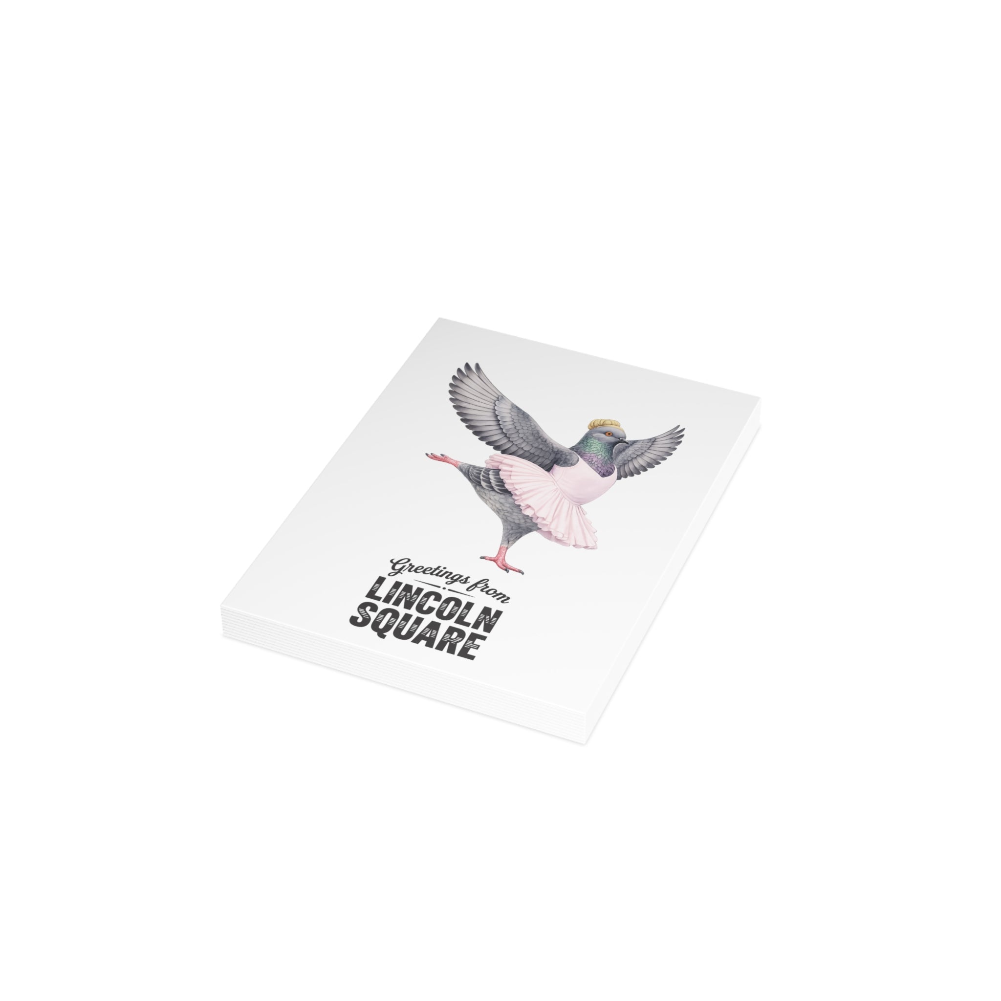 Lincoln Square NYC Pigeon Postcard Bundle (envelopes included)