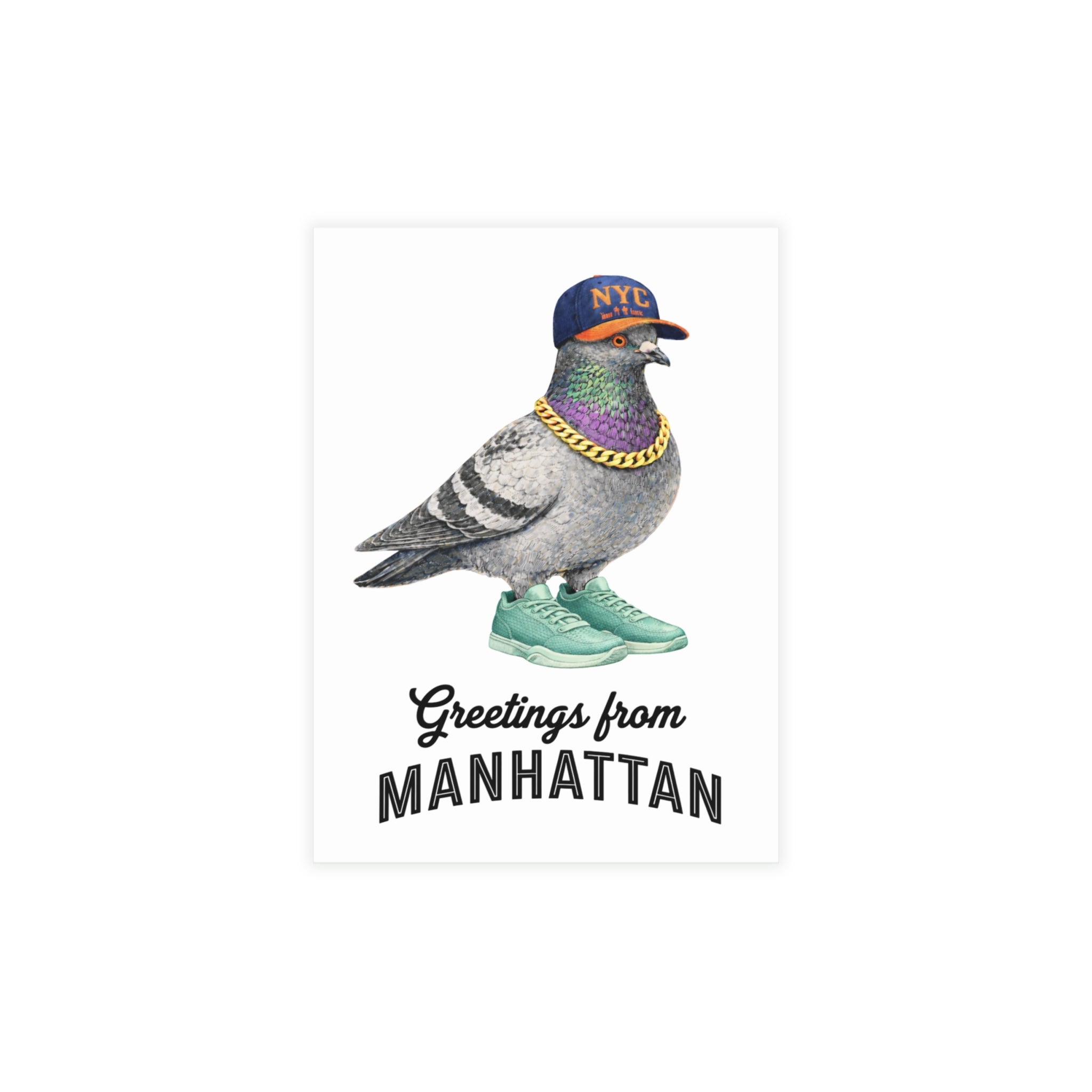 Manhattan NYC Pigeon Postcard Bundle (envelopes included)