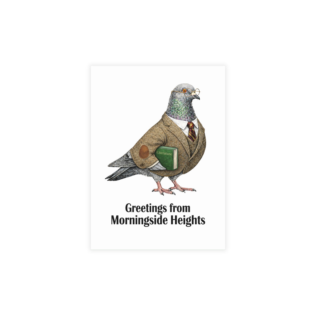 Morningside Heights NYC Pigeon Postcard Bundle (envelopes included)