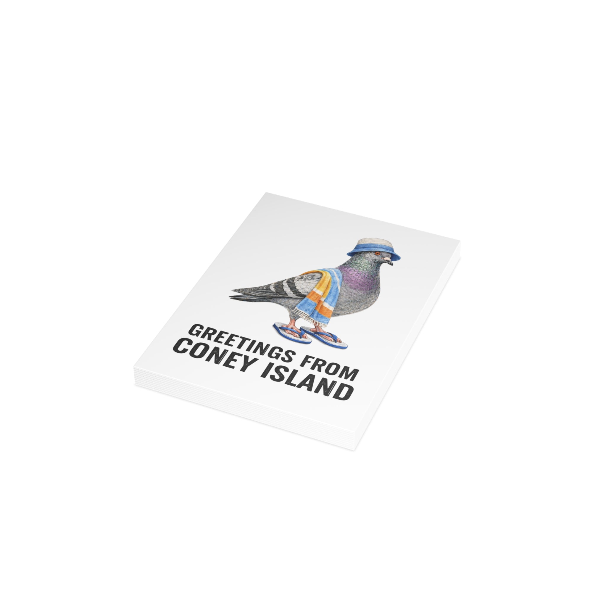 Coney Island NYC Pigeon Postcard Bundle (envelopes included)