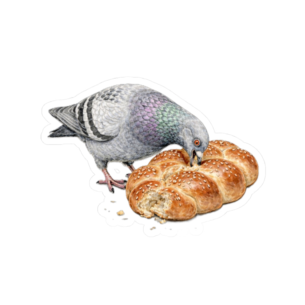 Borough Park NYC Pigeon 3" x 3" Sticker