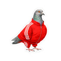 Brighton Beach NYC Pigeon 3" x 3" Sticker