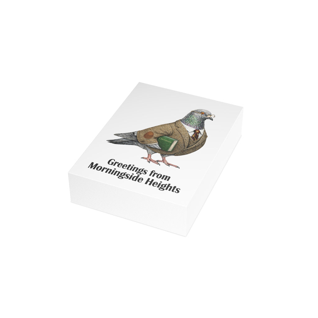 Morningside Heights NYC Pigeon Postcard Bundle (envelopes included)