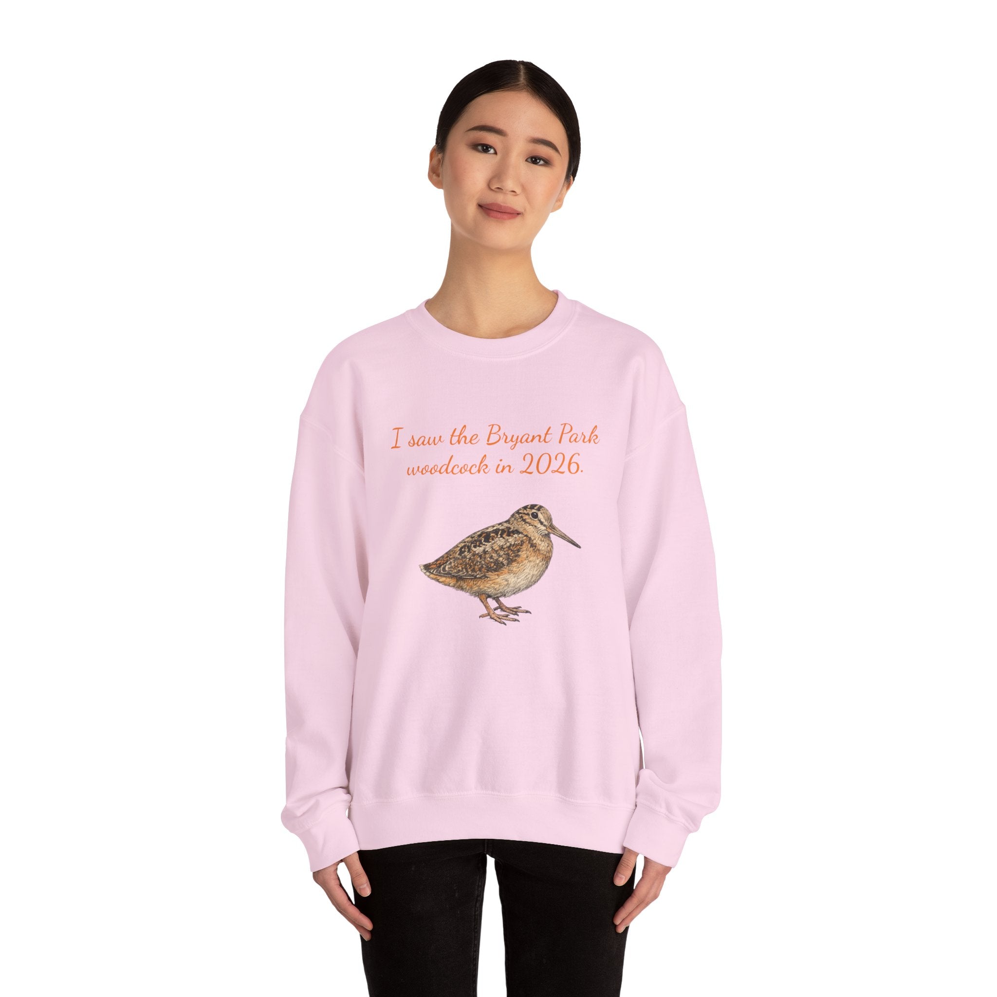 Bryant Park American Woodcock Sweatshirt | NYC Bird Lover Sweater
