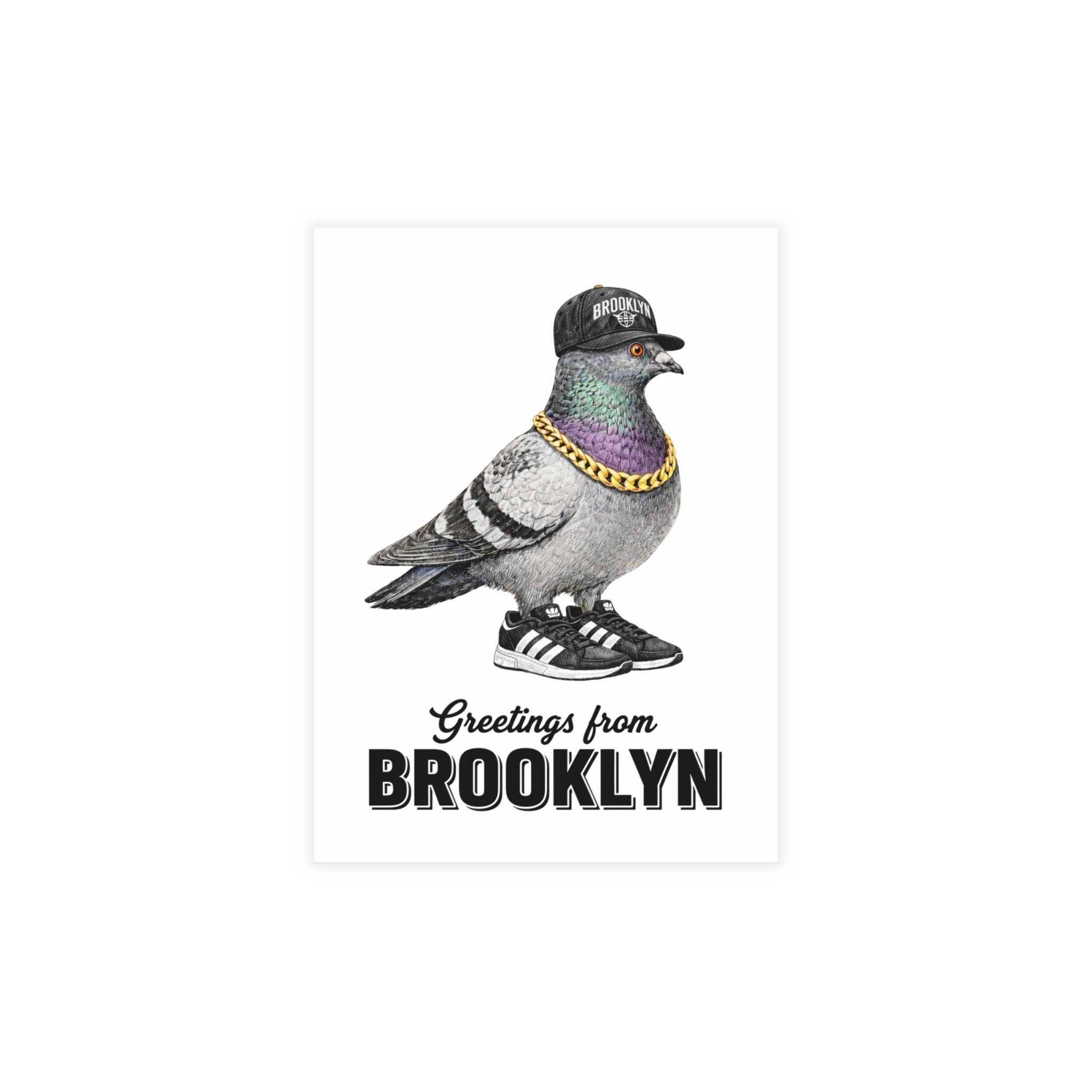 Brooklyn NYC Pigeon Postcard Bundle (envelopes included)