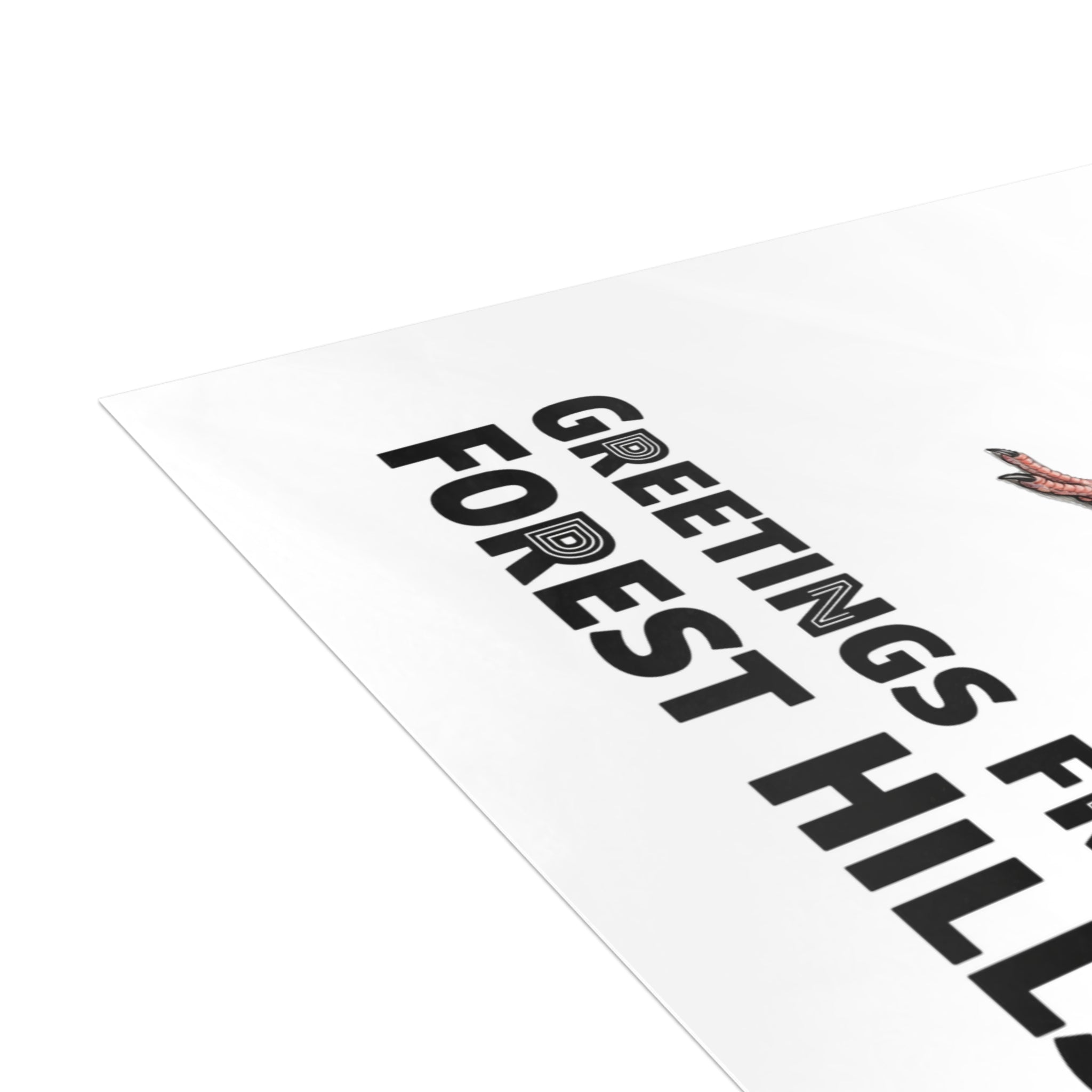 Forest Hills NYC Pigeon Postcard Bundle (envelopes included)