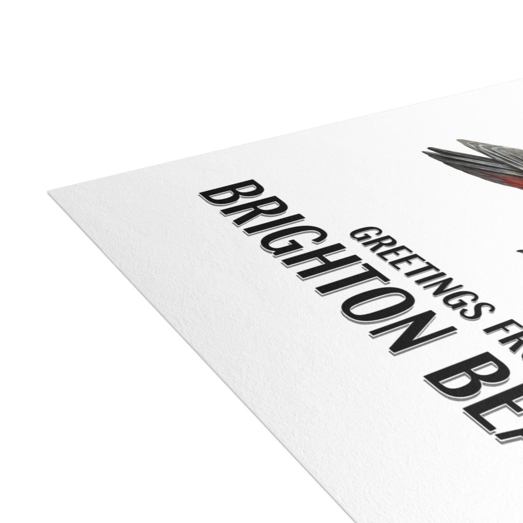 Brighton Beach NYC Pigeon Postcard Bundle (envelopes included)