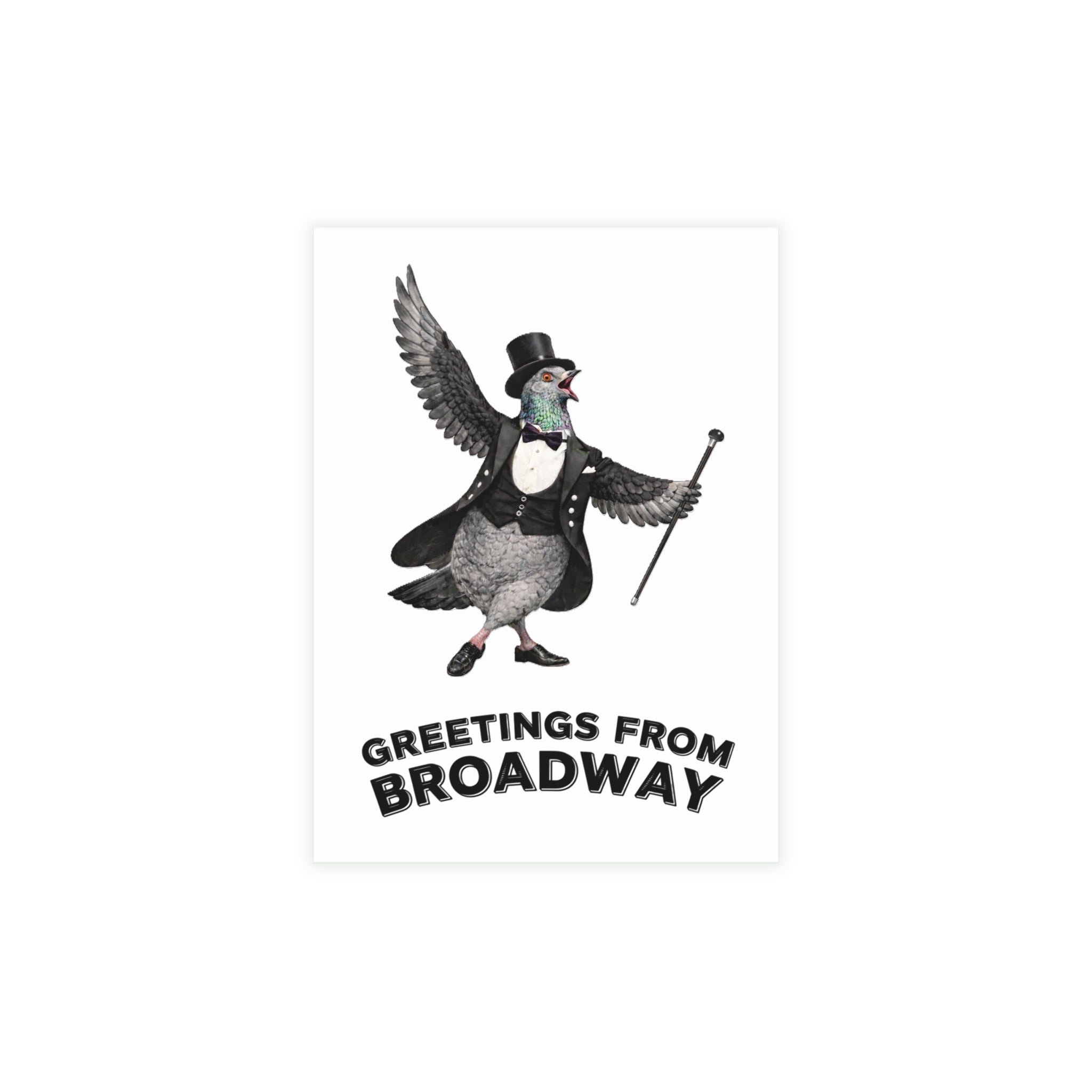 Broadway NYC Pigeon Postcard Bundle (envelopes included)