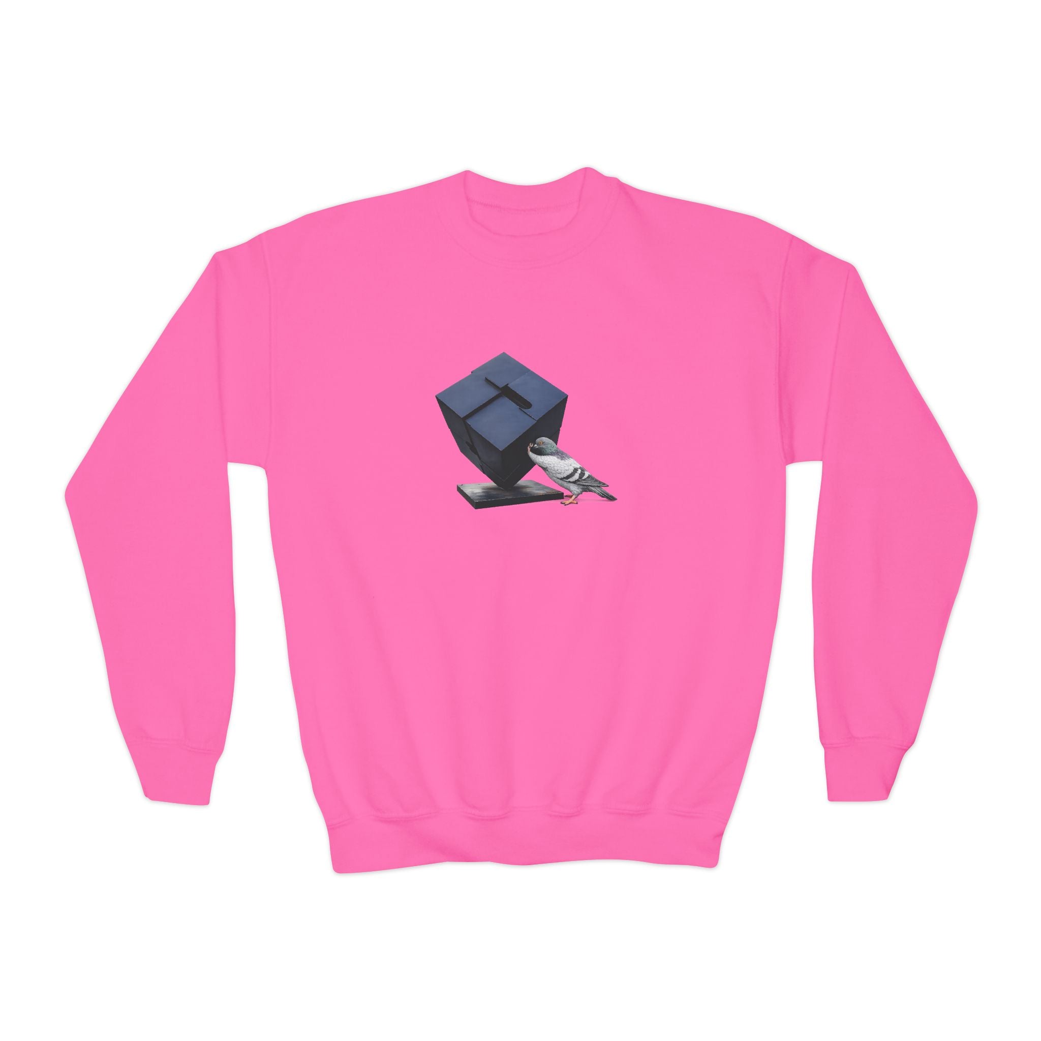 Customizable Astor Place NYC Pigeon NYC Kids Crewneck Sweatshirt    New York Alamo Cube Bird Lover Childrens Sweater