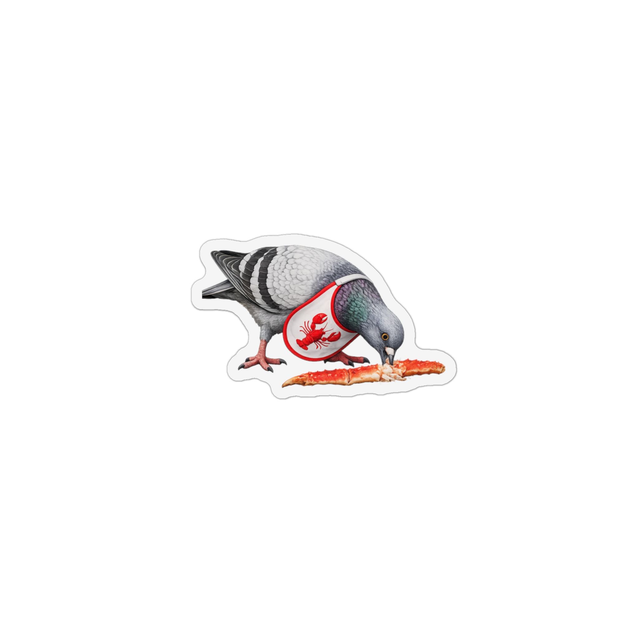 City Island NYC Pigeon Magnet | Bird Lover Fridge Magnet